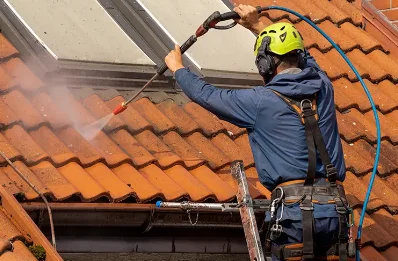 Démoussage et hydrofuge de toiture à Oriolles